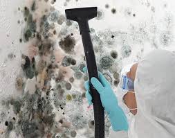 Best Industrial Mold Remediation  in Oregon, OH